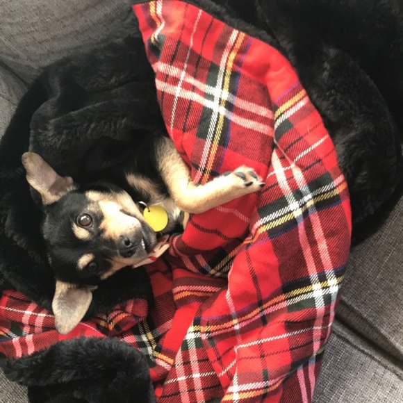 Meet your Posher, Taylor - Picture 2 of 2